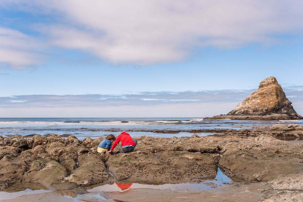 tide-pooling stop on cross country road trip with cranberry twp, pa newborn photographer