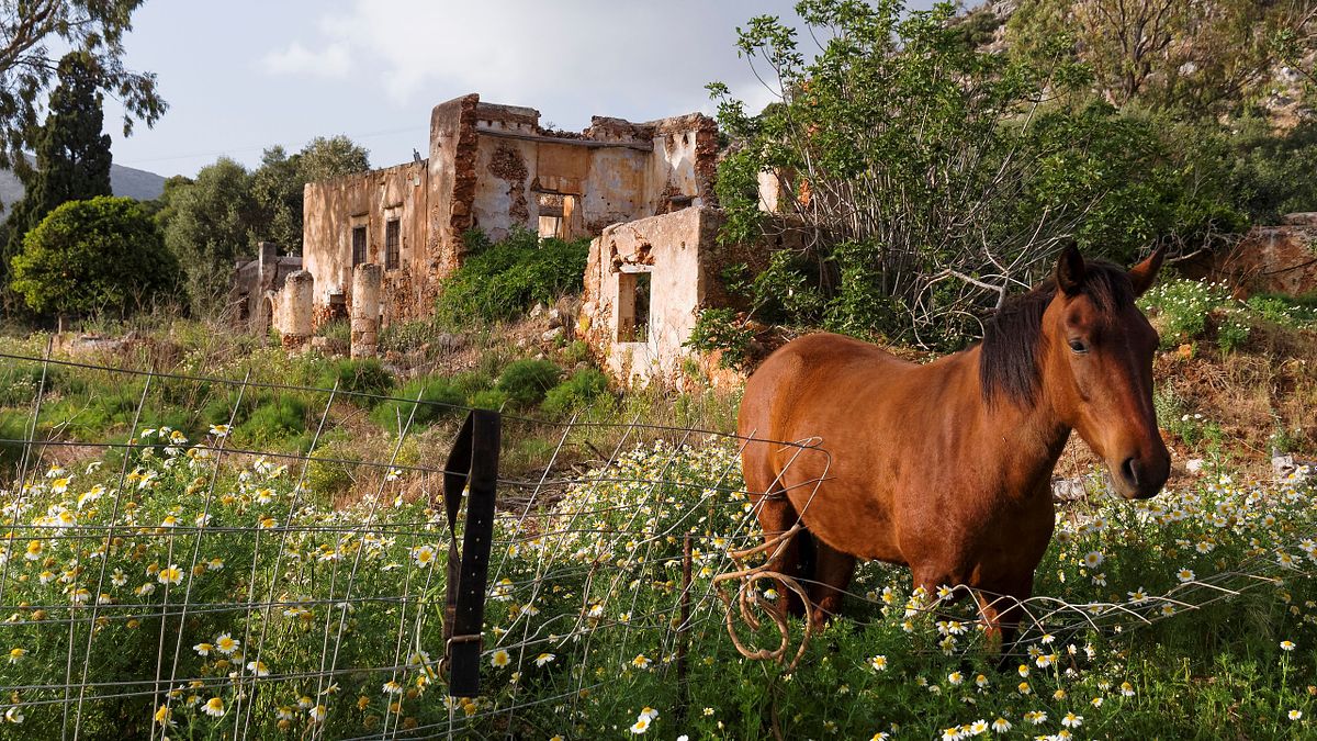 Kapelle Wilder Geschinen