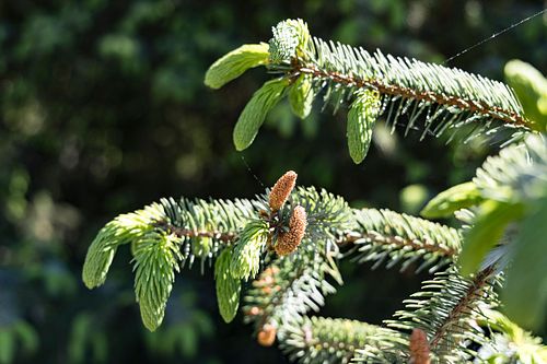 Im Nationalpark Jomfruland