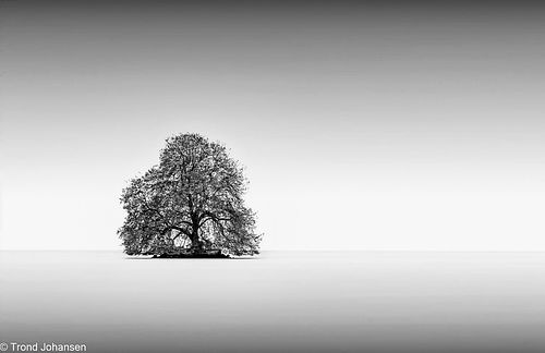 Trond Johansen Foto Natur Sarpsborg - Fotograf / Film