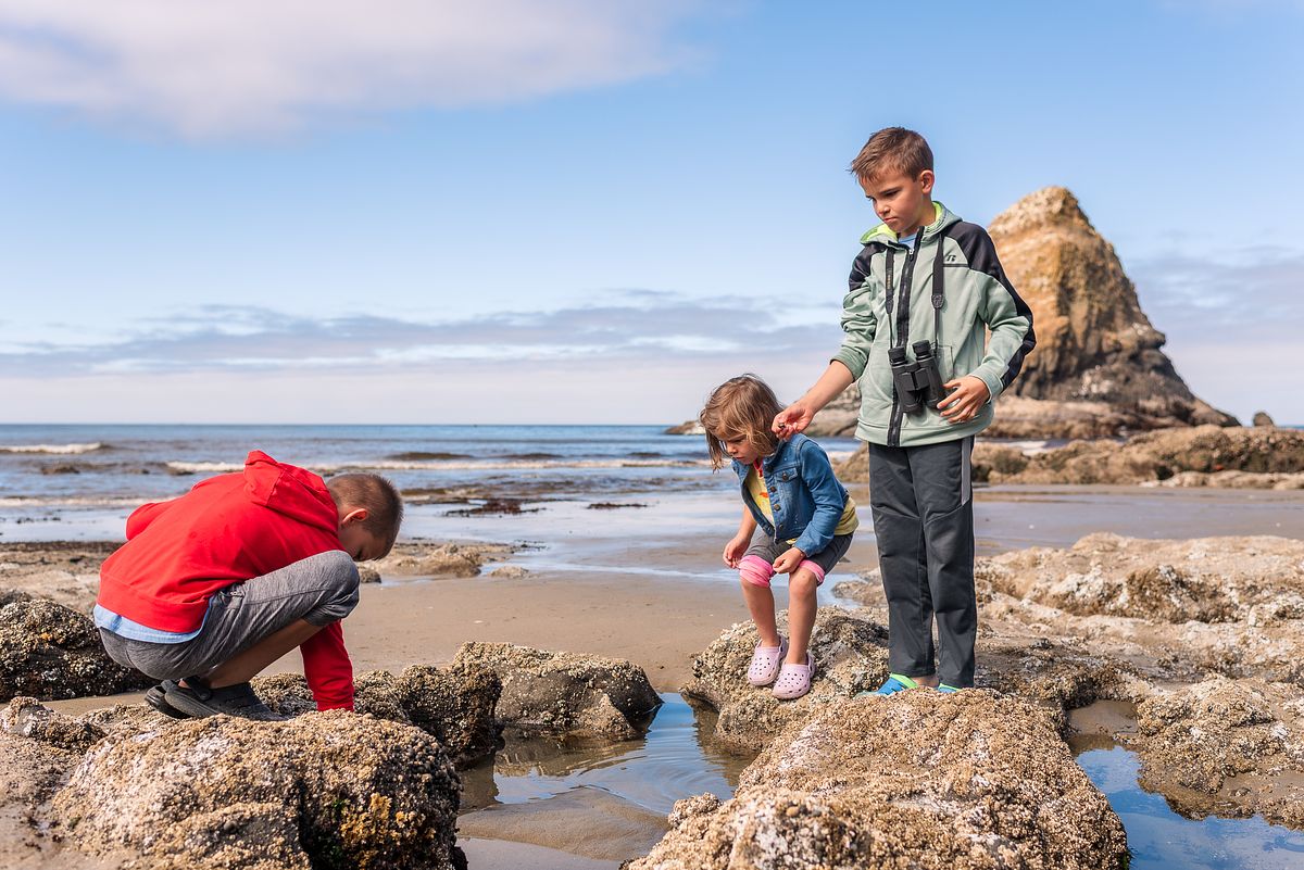 tide-pooling adventure on cross country road trip with cranberry twp, pa newborn photographer
