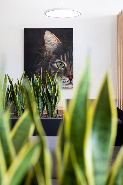 Kleintierpraxis Seegarten