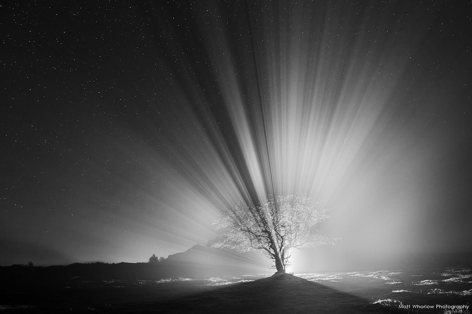 Matt Whorlow Photography