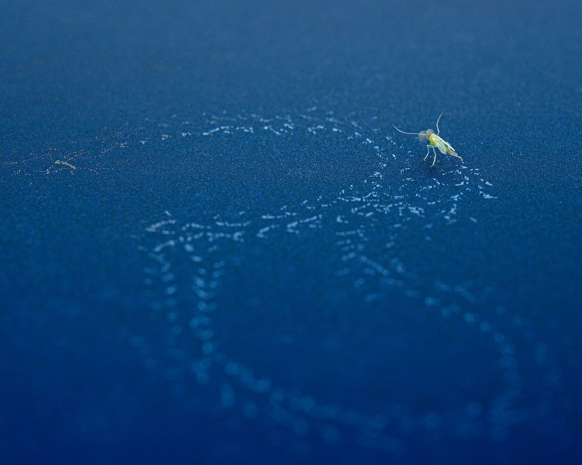 Tracks in the Condensation