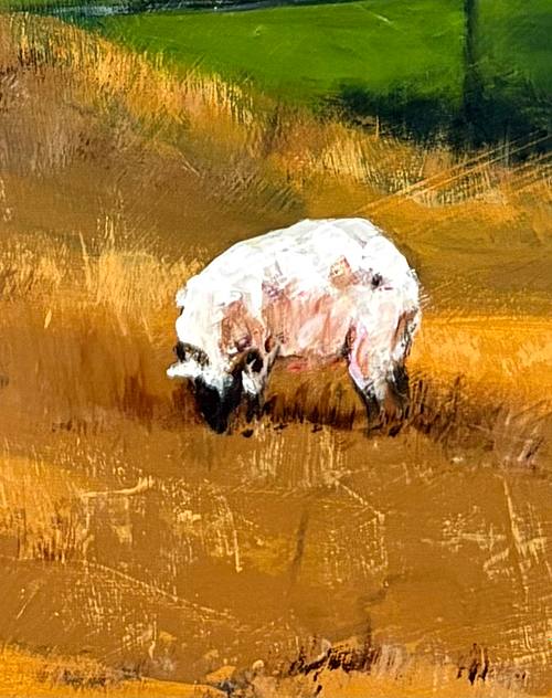 Sheep, the Dales
