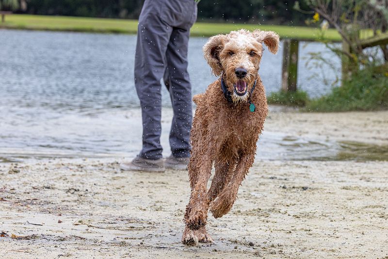 James Island Park 10-29-25