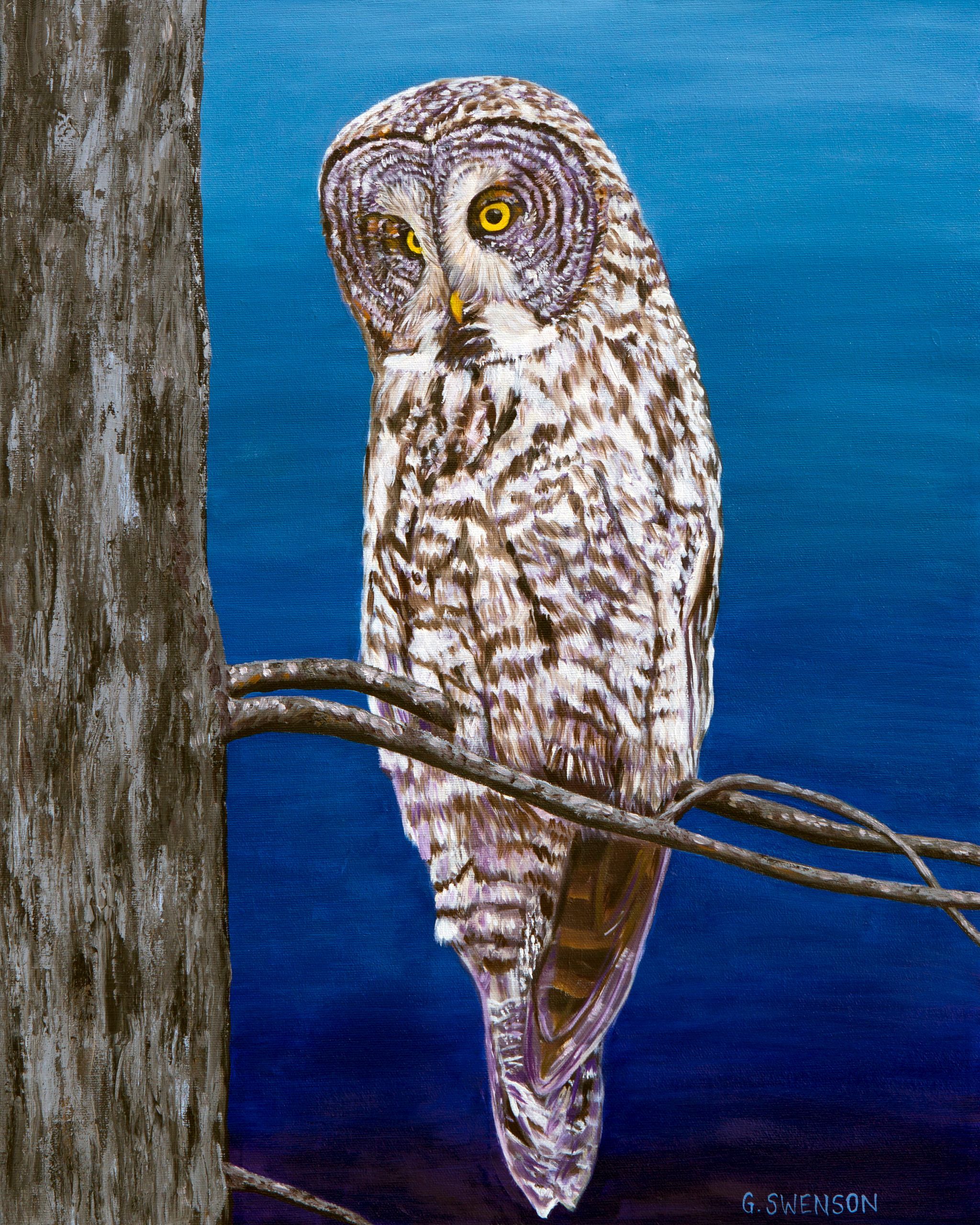 Owl