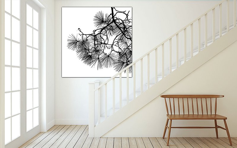 Inktkalligrafie van de Pinus