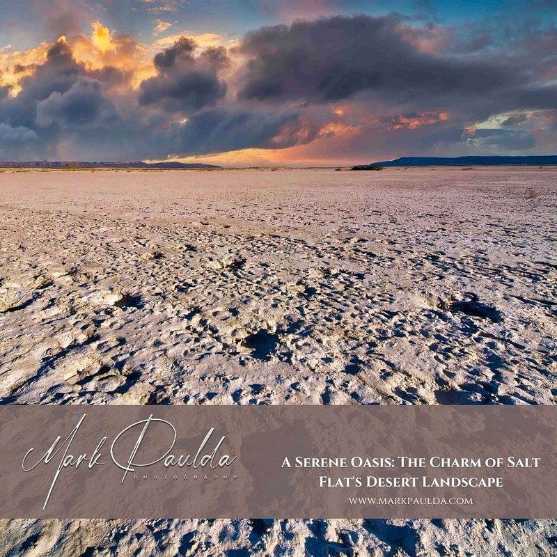 A Serene Oasis: The Charm of Salt Flat's Desert Landscape