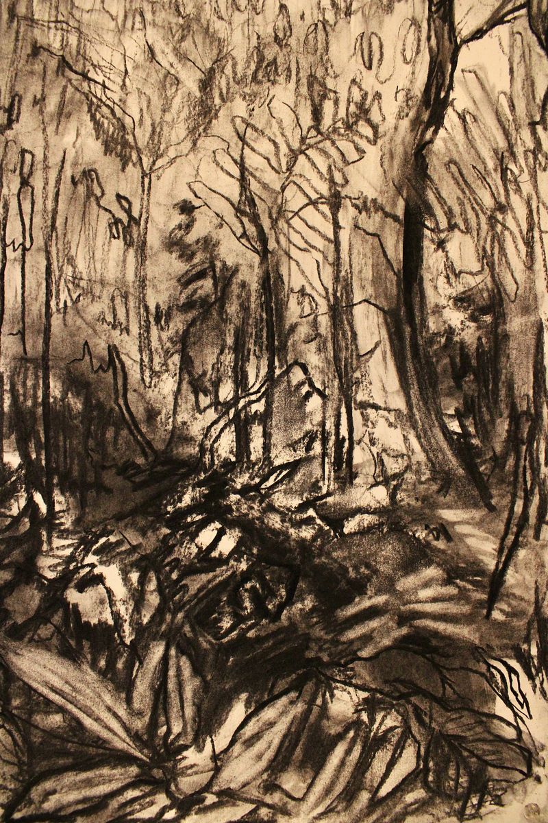 along our path: spring