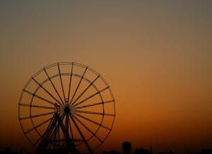 Observe, Shapes & forms in photography