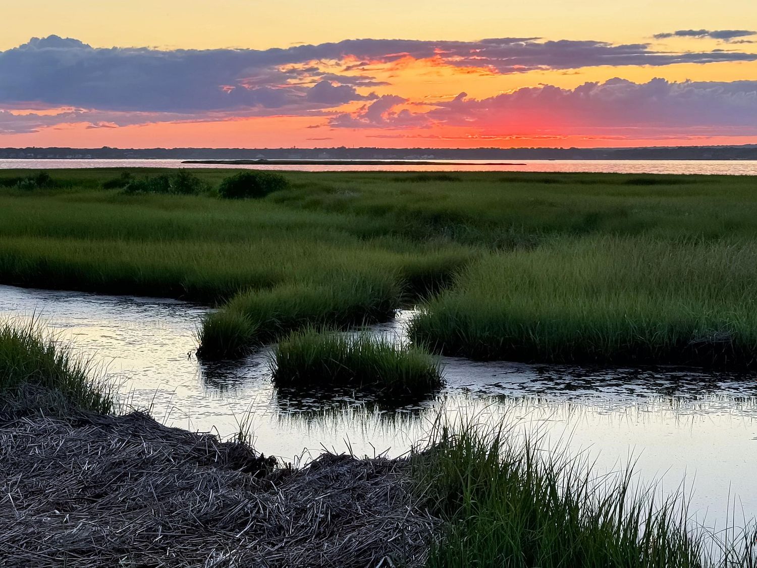 ALISON PERRY PHOTOGRAPHY