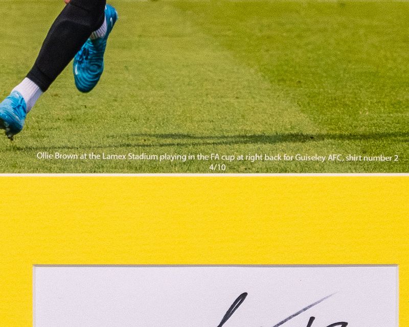 Limited Edition Ollie Brown