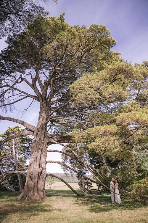 Surprise Proposal Photography at Retford Park National Trust