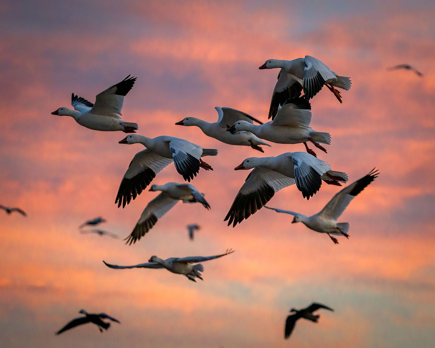 John Mauser Photography