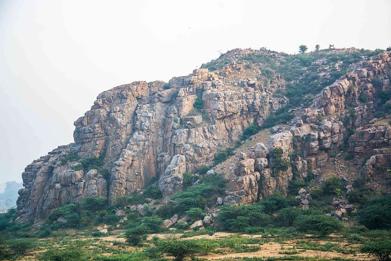 Photography Made Easy: Focus on What Matters