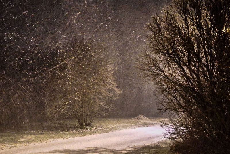 Saabuv talvine õhtu - tormi tuules