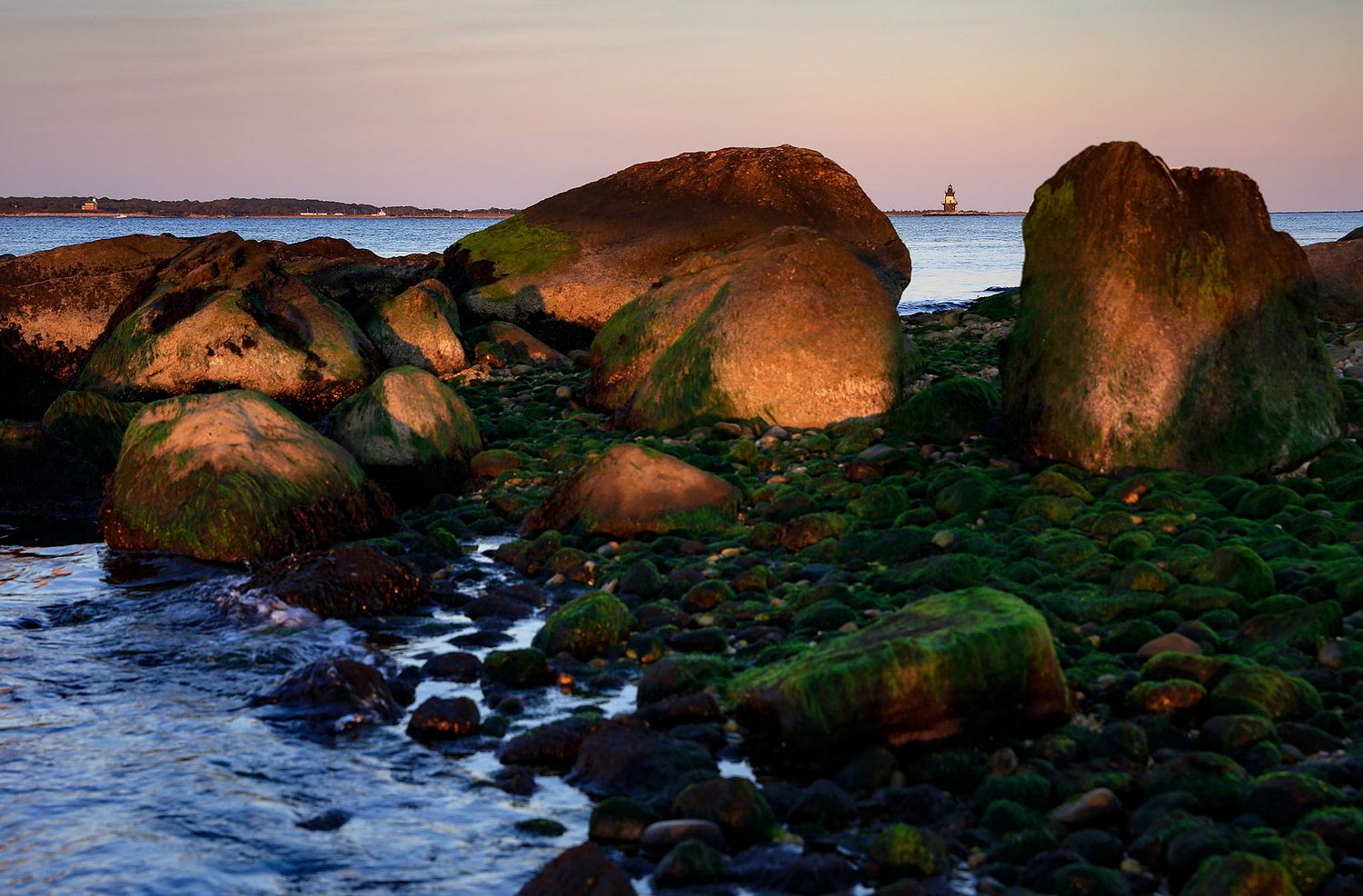 ALISON PERRY PHOTOGRAPHY