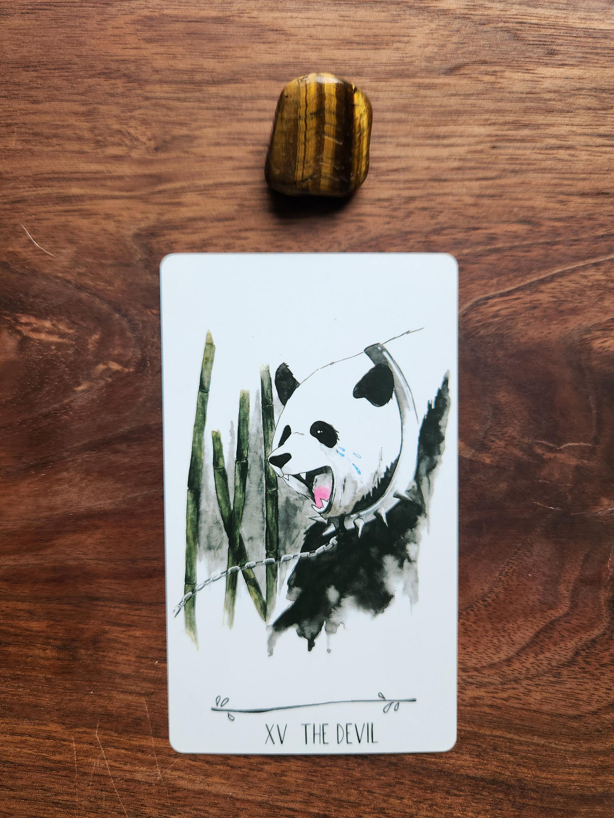 Tiger Eye and The Devil