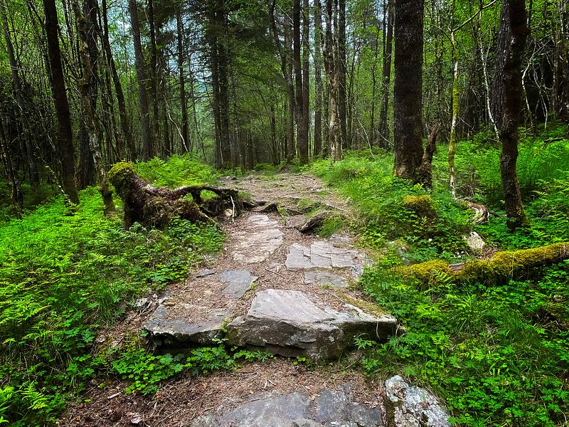 Studioet opnar kl 12