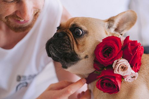 Same Sex Wedding 