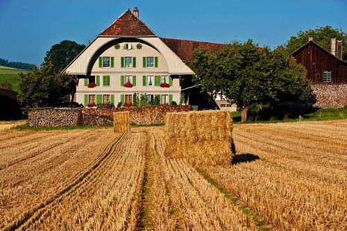 STOPPELFELD VOR BAUERNHOF