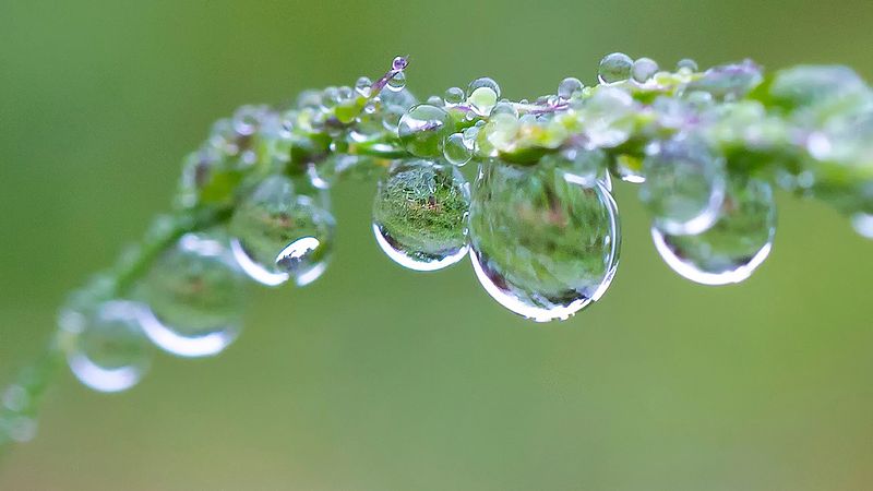 Ute etter kl 13 i dag