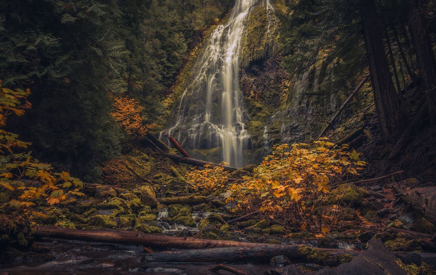Proxy Falls is surrounded by ancient cedars and autumn