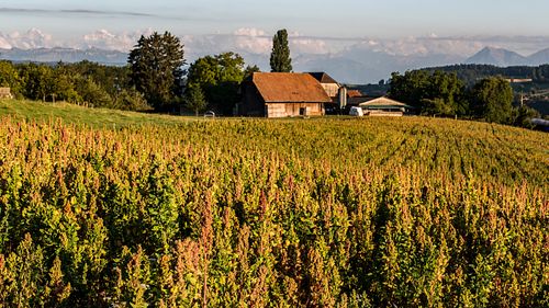 Bauernhof in Ferenberg