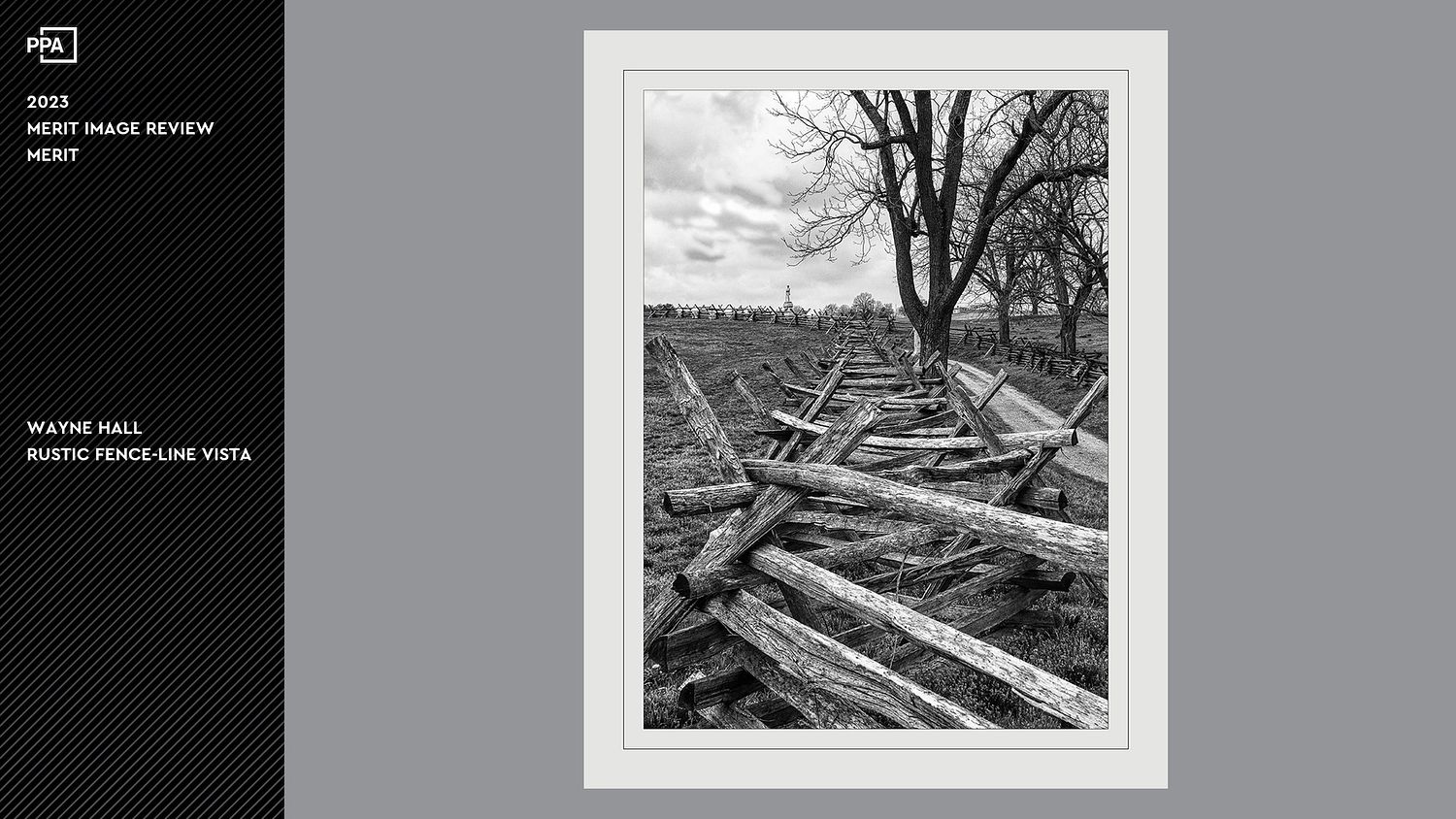 WALL Photography & Design