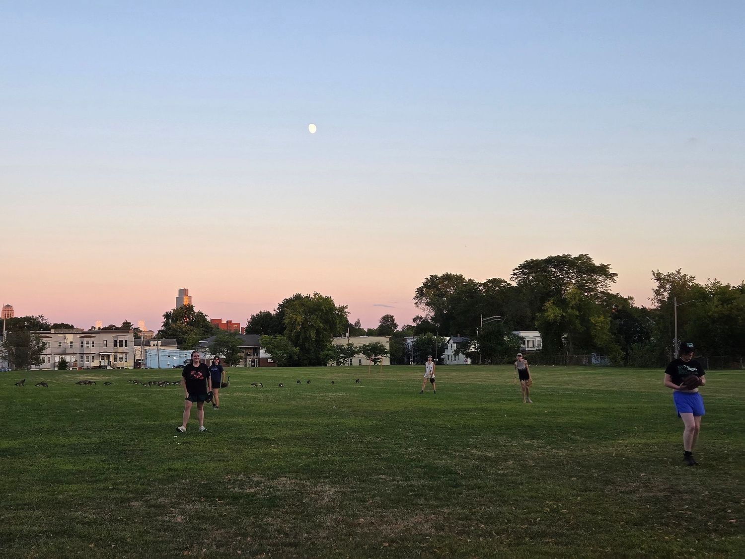 Albany Queer Baseball