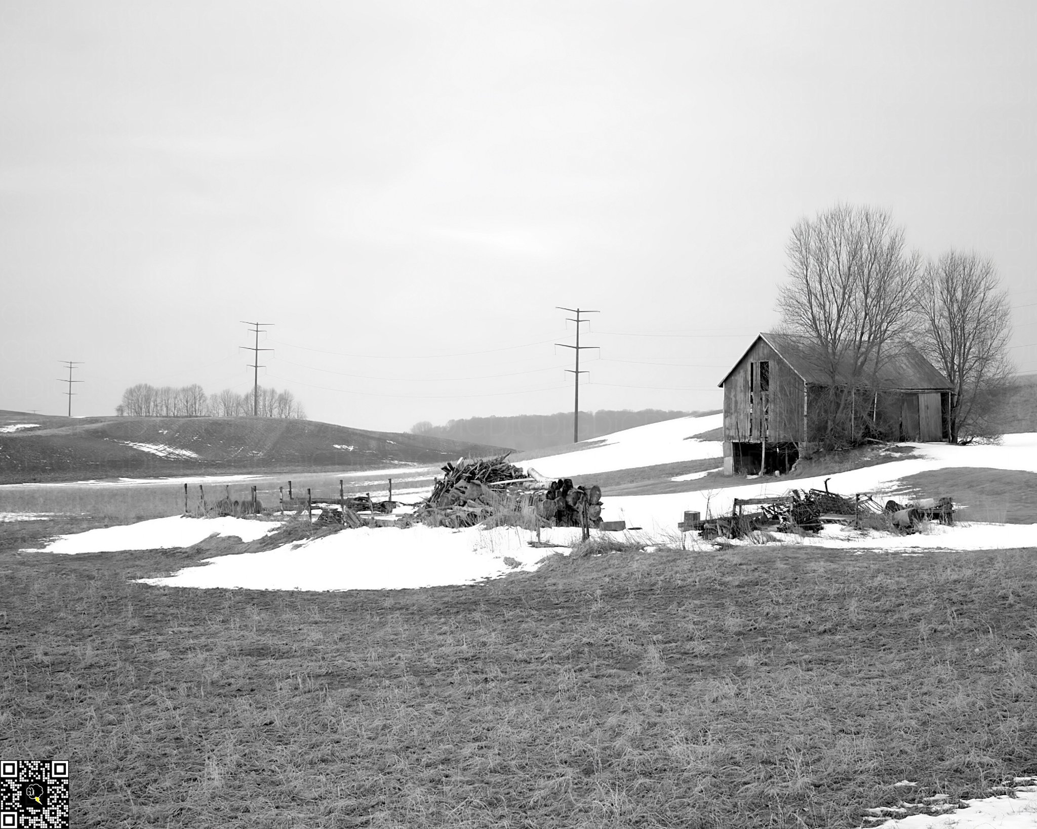 Monochrome early-spring countryside with a weathered farmhouse, bare fields, and leafless trees dancing under a pale sky.