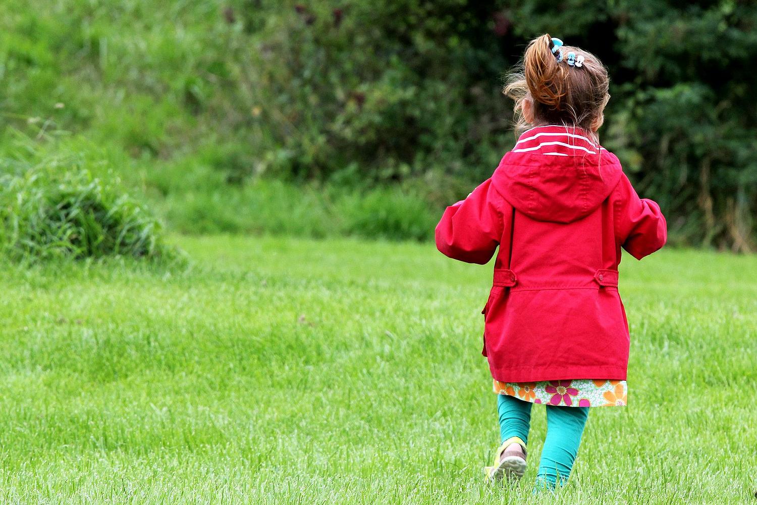 Forest Vibe Photography, Family and Pet Photography