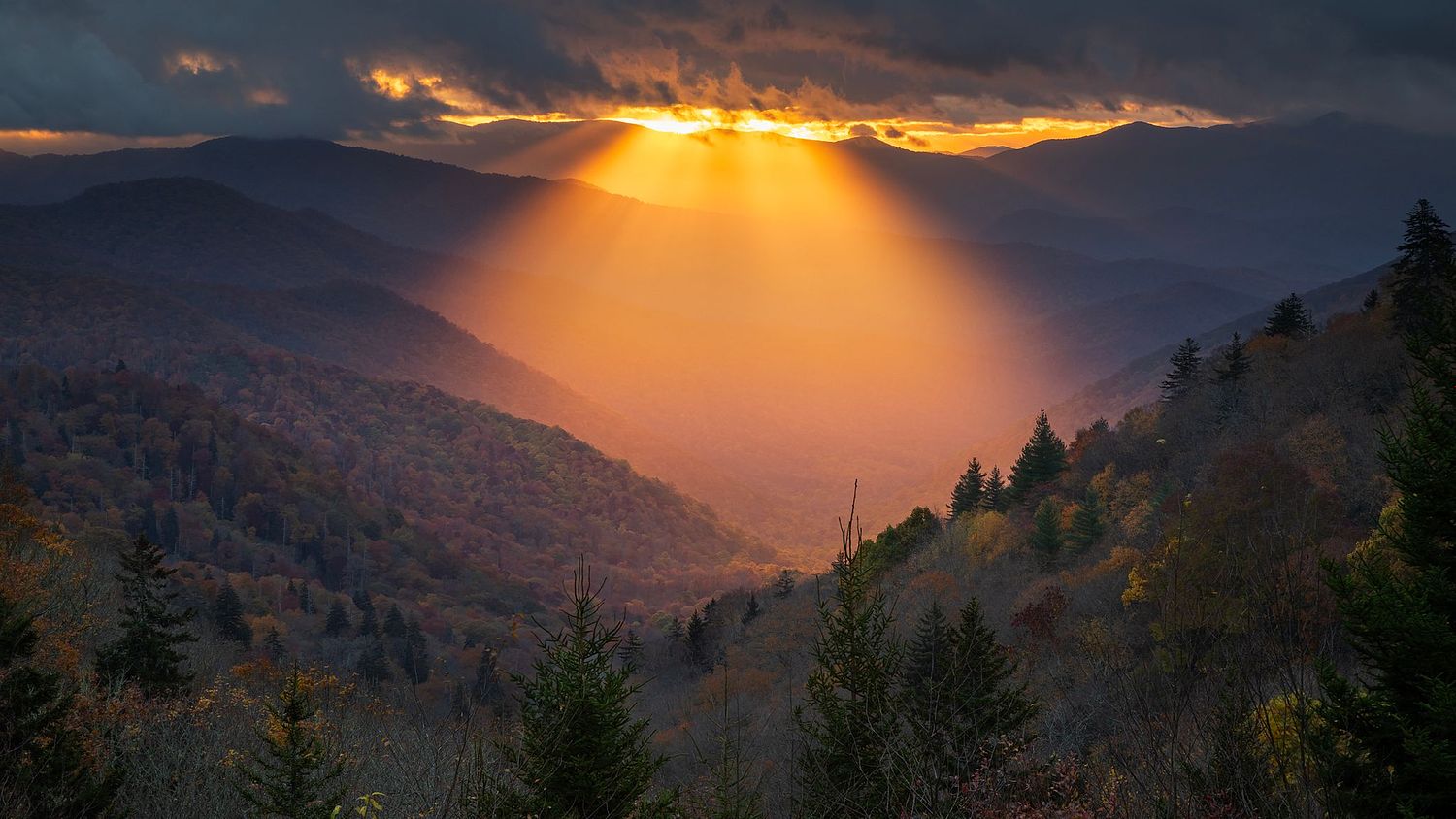 MIke Wiley Photography