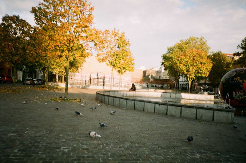 10 PACK of Fujicolor C 200 /24