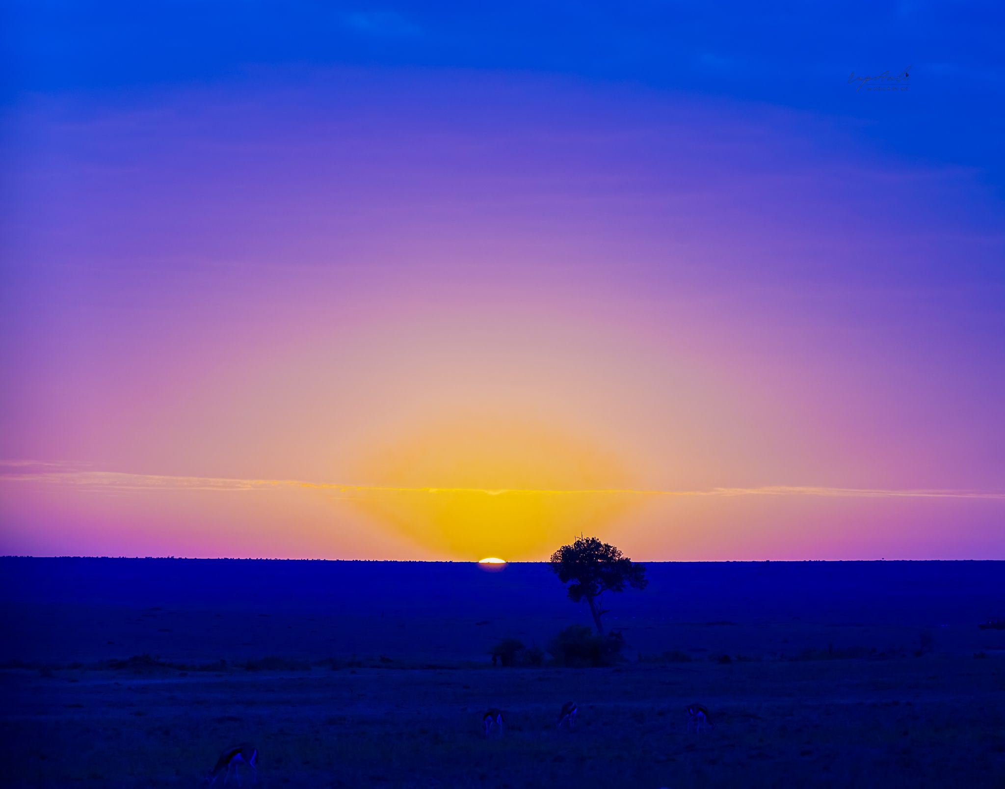 rupAali