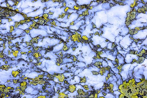 – SiO2 vs. Lichens