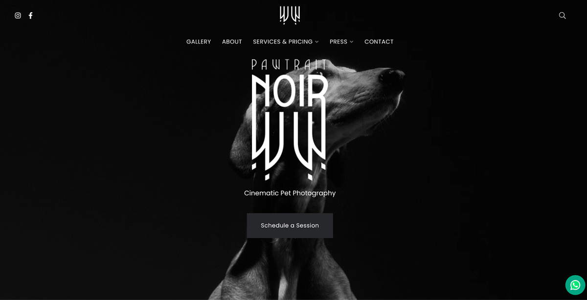 Obraz na stronie internetowej portfolio fotografii zwierząt Pawtrait Noir