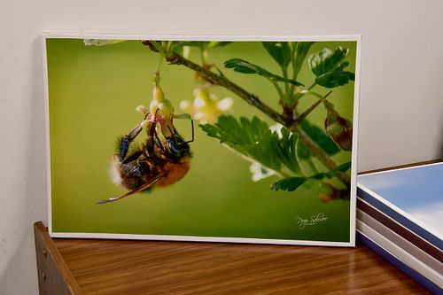 M&Uuml;&Uuml;A  L&Otilde;UENIPILTE