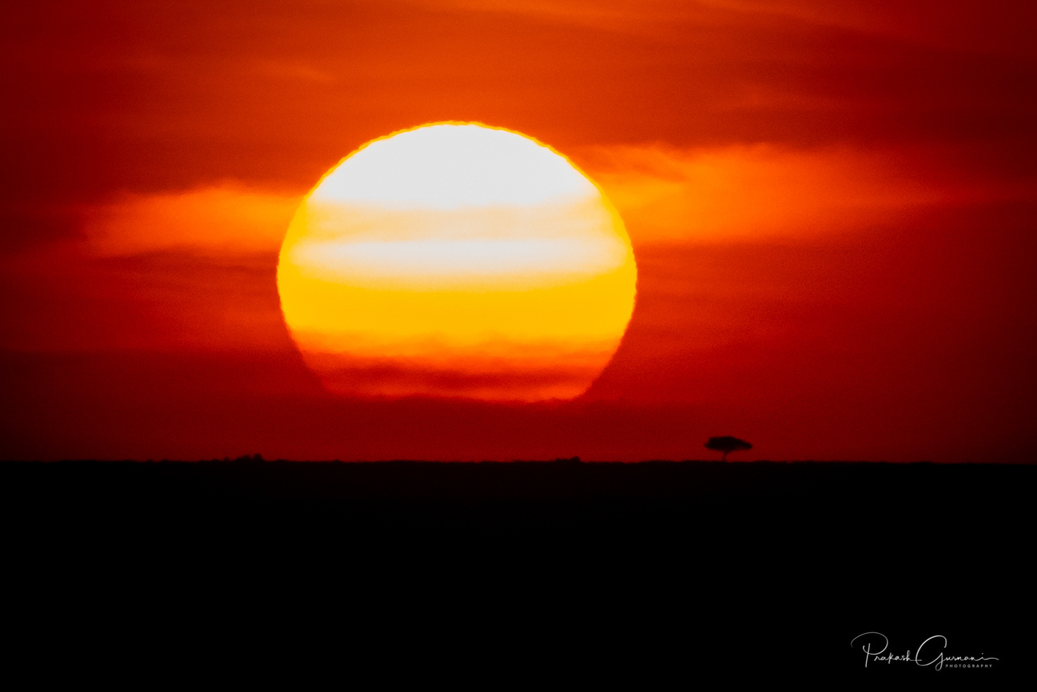 Prakash Gurnani Photography