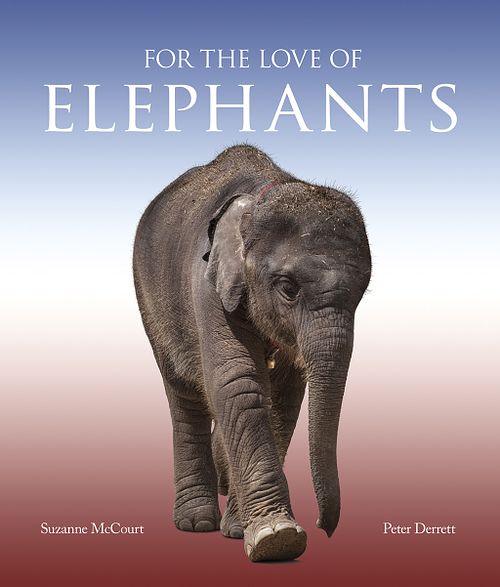 For the Love of Elephants