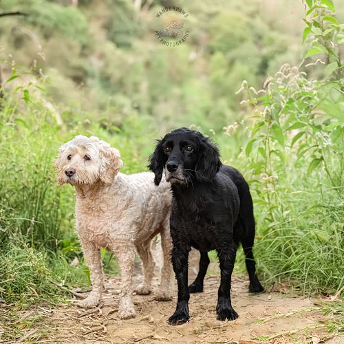 Kara (Oakley & Ace's Owner)