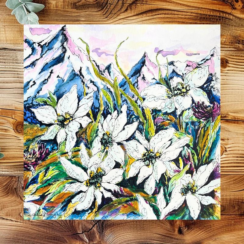 White Edelweiss Alpine Mountain Wild Flowers- Original Watercolour and Pen Illustration