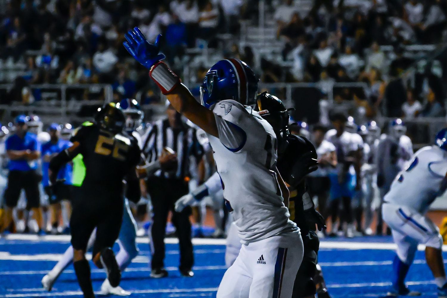 Mark Ingraham's Action & Nature Photos