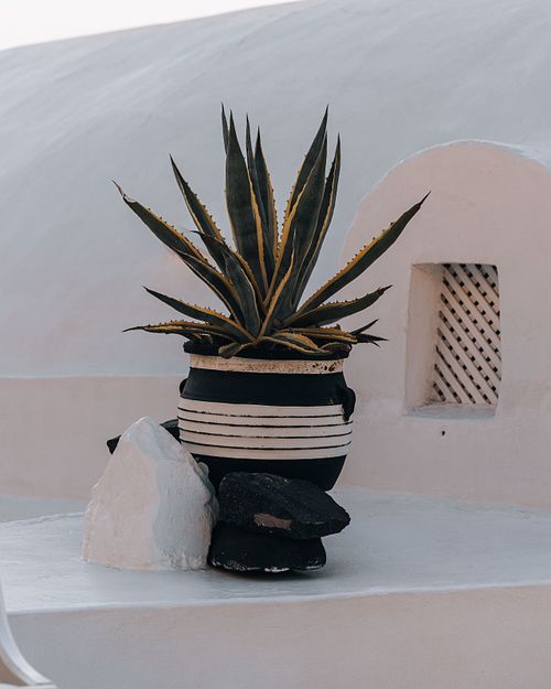 Canon Landscape Photography Savannah Travel Prints Greece Details