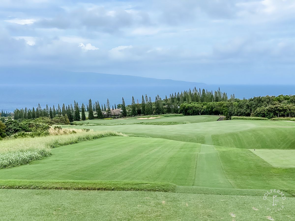 #12 Kapalua Plantation