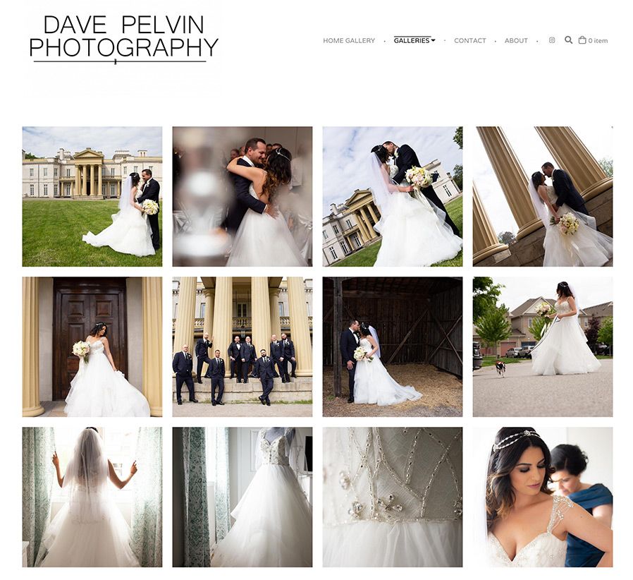 Sitio web del portafolio de fotografía de Dave Pelvin