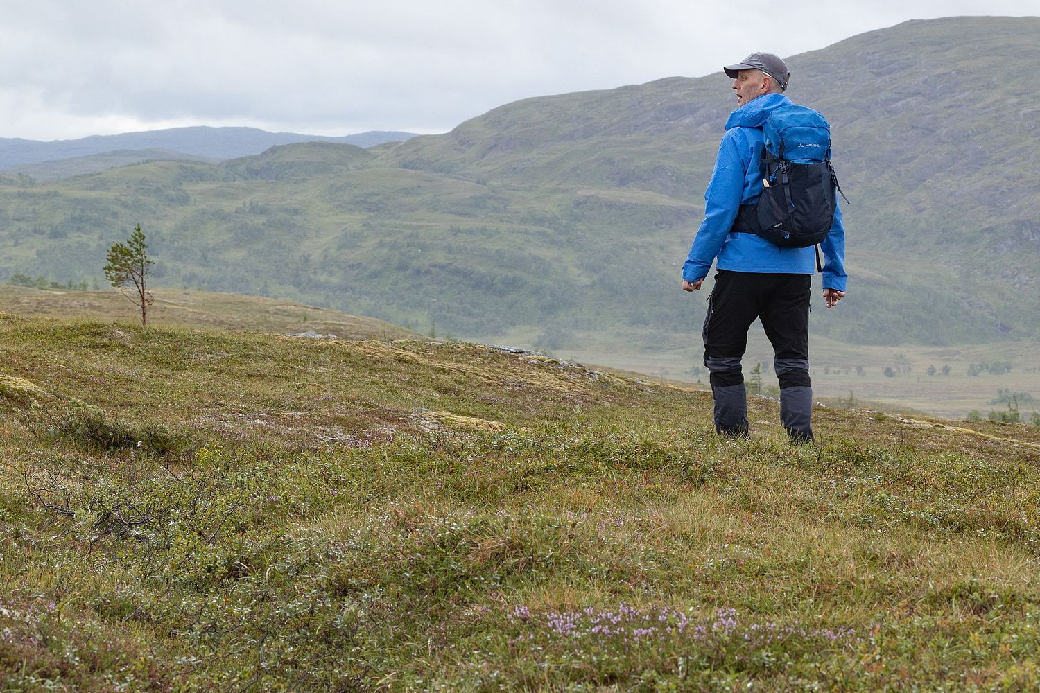 Man in blue jacket hiking in Swedish mountains, environmental lifestyle portrait