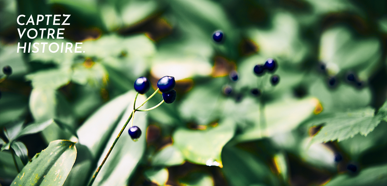 Julie Lavigne | Photographie