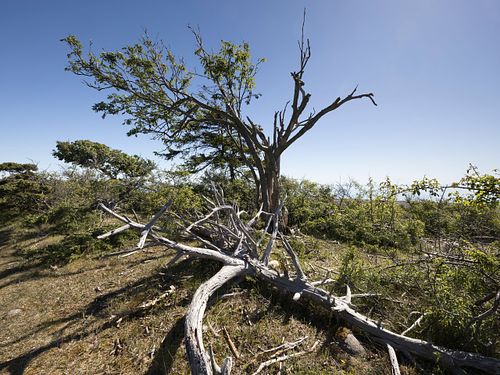 Im Nationalpark Jomfruland